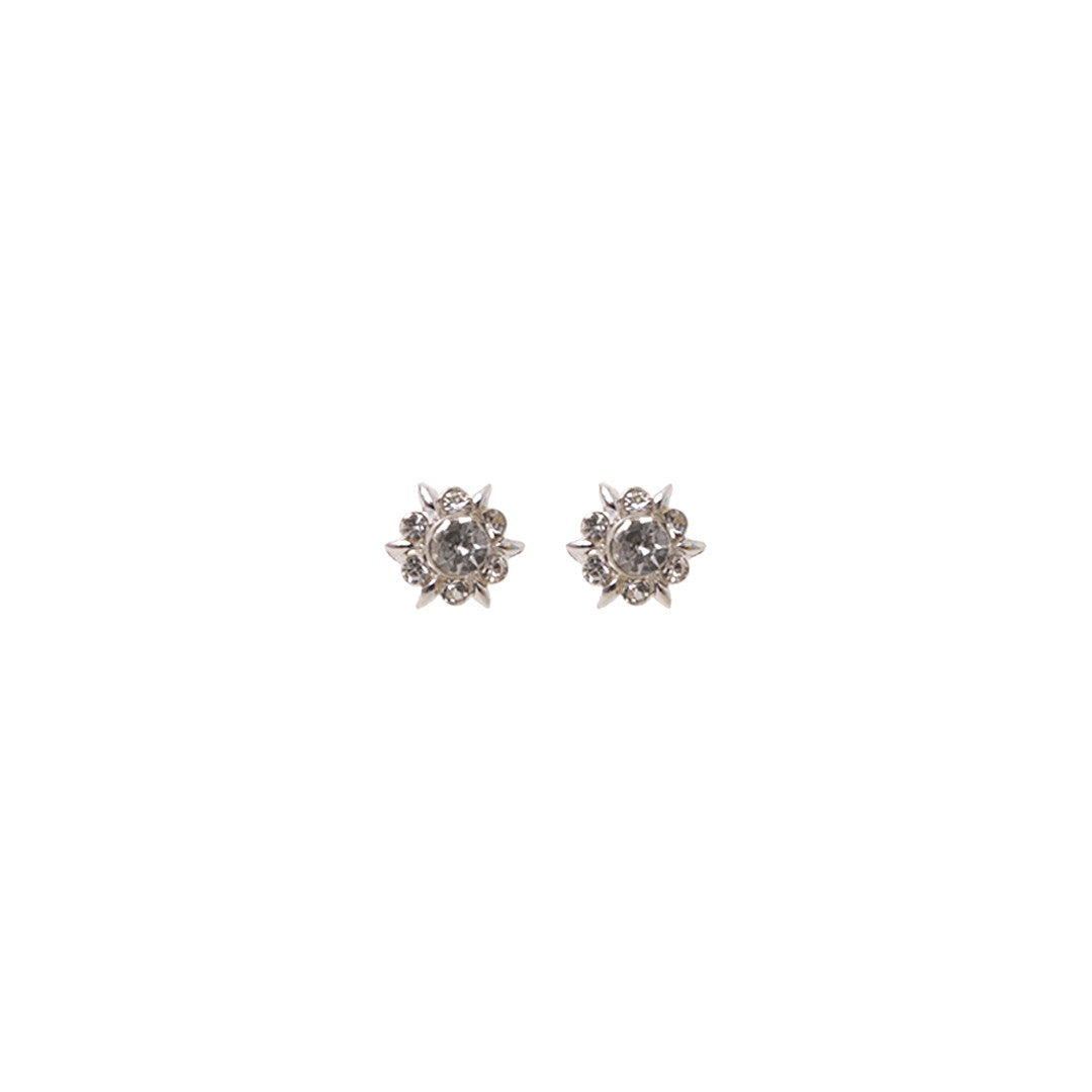 Stroberi Rhinestone Bling Stud Earring